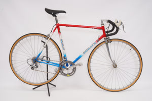 Gazelle Champion Mondial