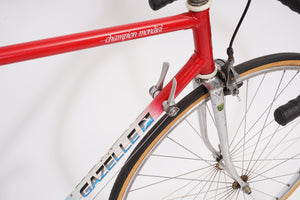 Gazelle Champion Mondial