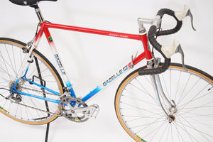 Gazelle Champion Mondial