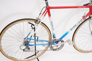 Gazelle Champion Mondial