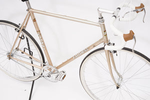 Adorni (single-speed) | Newly Added