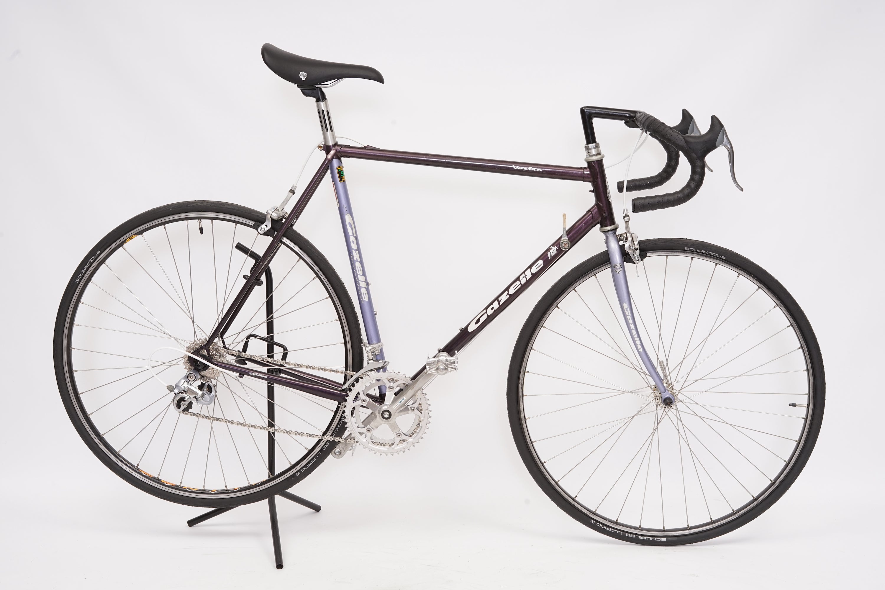 Gazelle Vuelta | Newly Added