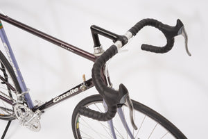 Gazelle Vuelta | Newly Added