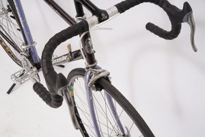 Gazelle Vuelta | Newly Added