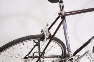 Gazelle Vuelta | Newly Added