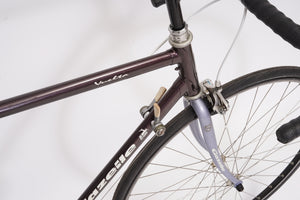 Gazelle Vuelta | Newly Added