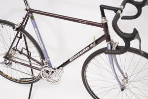 Gazelle Vuelta | Newly Added