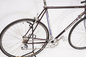 Gazelle Vuelta | Newly Added