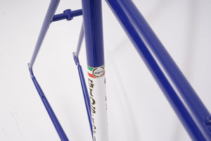 Gios Torino Repainted (frame only) | Newly Added